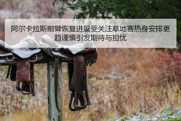 a-er-ka-la-si-qian-bi-hui-fu-jin-zhan-shou-guan-zhu-cao-di-sai-re-shen-an-pai-geng-qu-jin-shen-yin-fa-qi-dai-yu-dan-you-2-756.jpg
