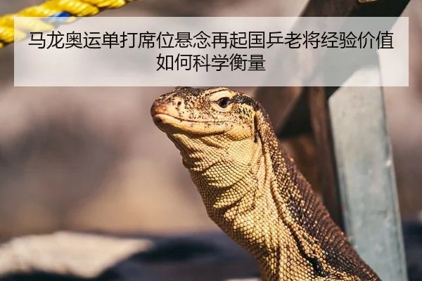 马龙奥运单打席位悬念再起国乒老将经验价值如何科学衡量