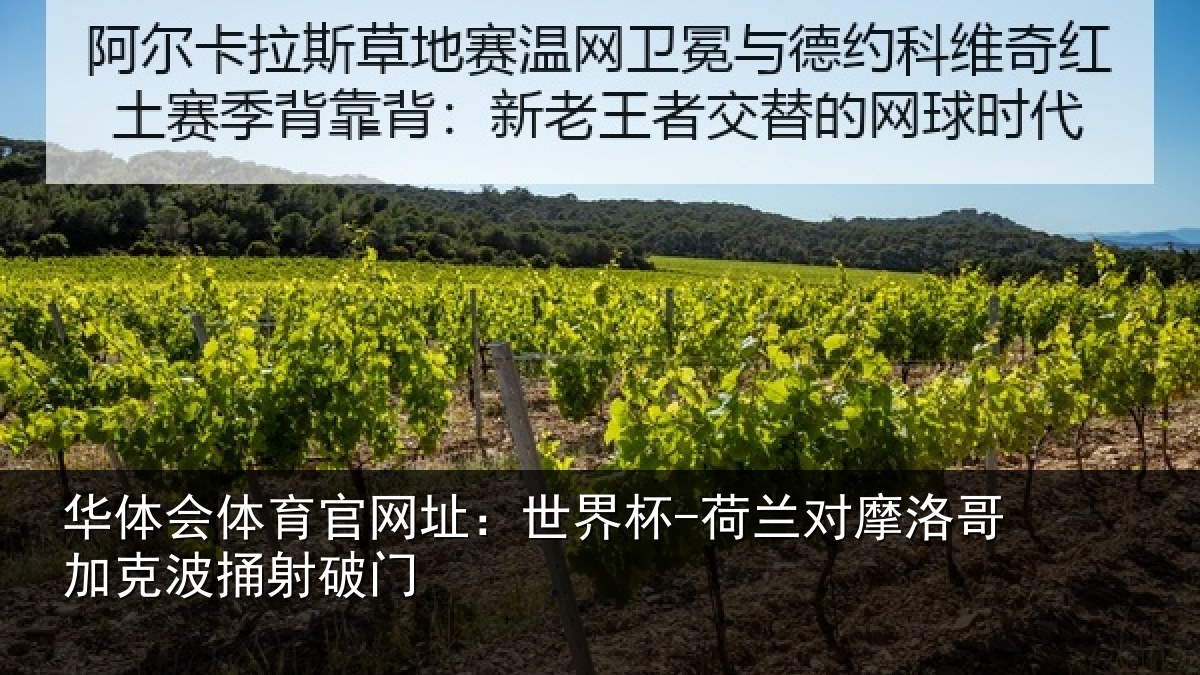 华体会体育官网址:世界杯-荷兰对摩洛哥加克波捅射破门
