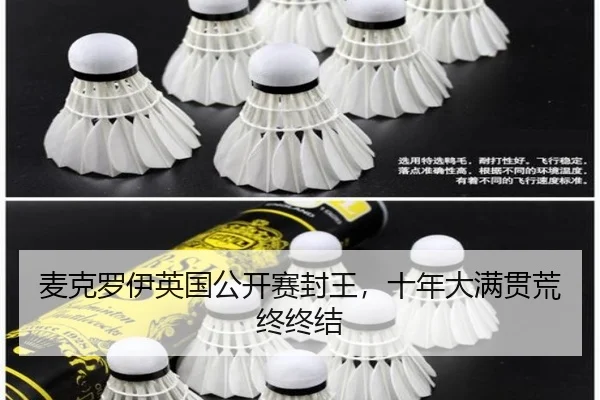 mai-ke-luo-yi-ying-guo-gong-kai-sai-feng-wang-shi-nian-da-man-guan-huang-zhong-zhong-jie-2-684.jpg